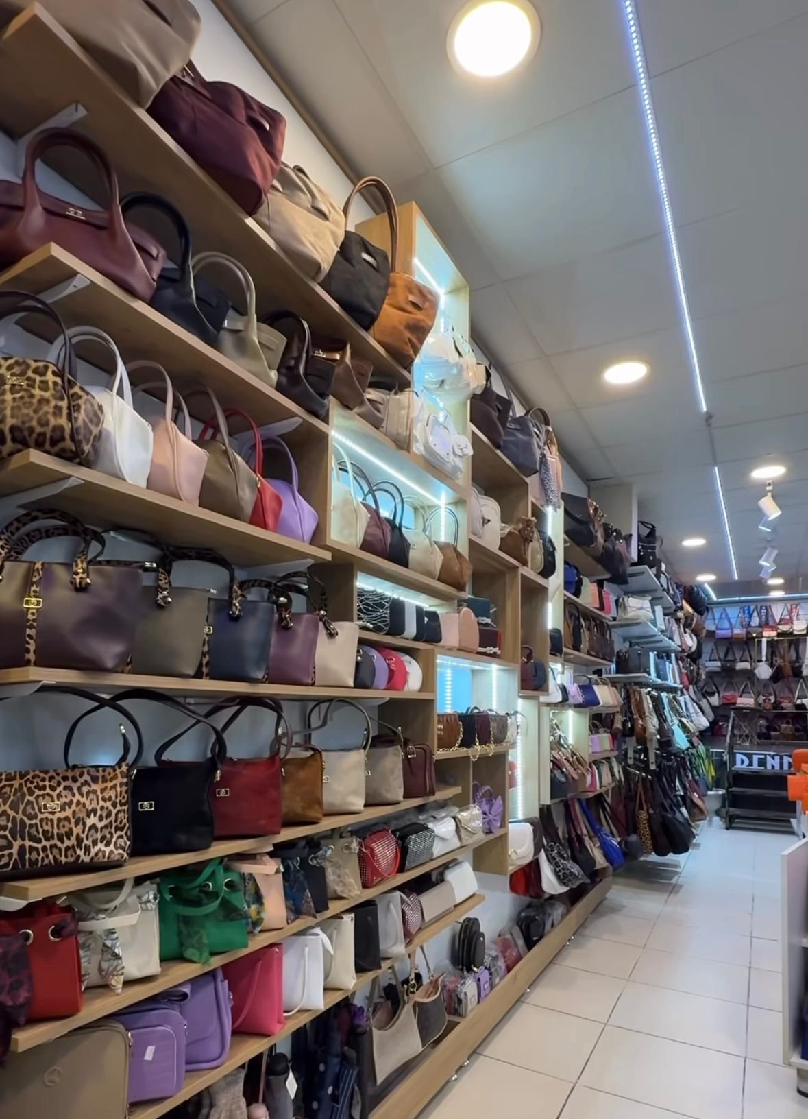 WhatsApp Image 2026-02-25 at