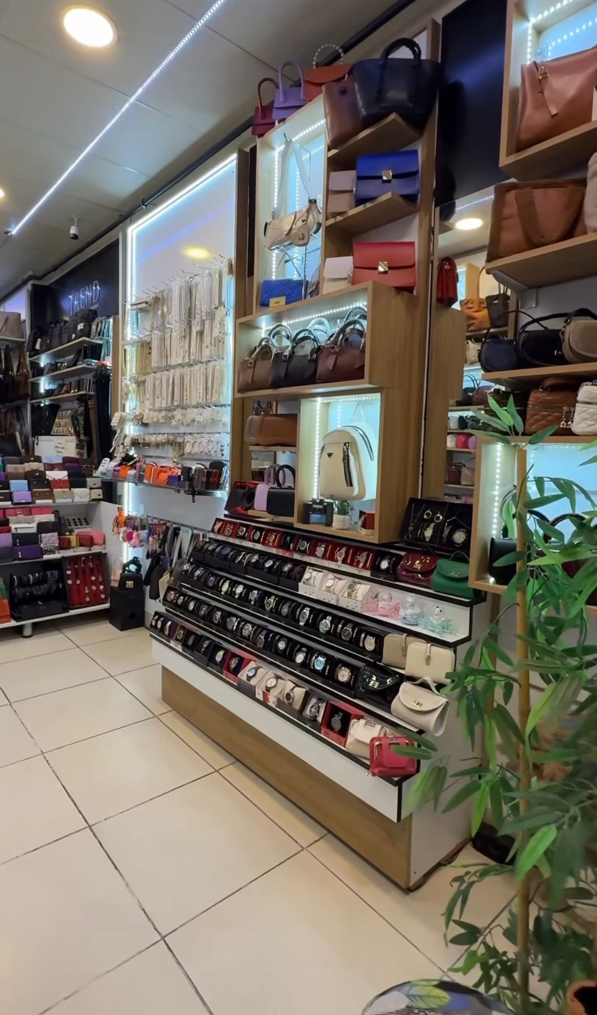 WhatsApp Image 2026-02-25 at 14.19.50