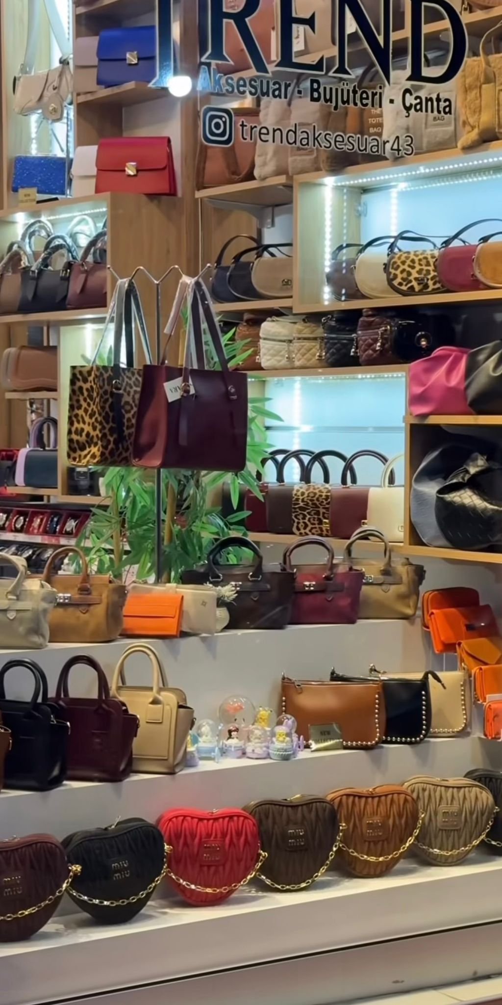 WhatsApp Image 2026-02-25 at